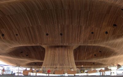 Interior of Senedd showing wooden ceiling
